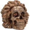 Albert Einstein Totenschädel 21cm -Cosly Verkaufsgeschäft albert einstein totenkopf albert einstein totenschaedel albert einstein skull 54562 01