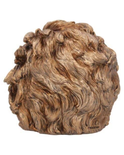 Albert Einstein Totenschädel 21cm -Cosly Verkaufsgeschäft albert einstein totenkopf albert einstein totenschaedel albert einstein skull 54562 04