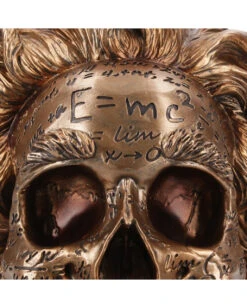 Albert Einstein Totenschädel 21cm -Cosly Verkaufsgeschäft albert einstein totenkopf albert einstein totenschaedel albert einstein skull 54562 05