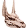 Anubis Totenschädel Figur 17cm -Cosly Verkaufsgeschäft anubis totenkopf figur anubis totenschaedel figur anubis skull figurine 51020 01