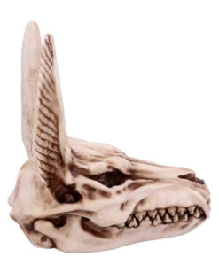 Anubis Totenschädel Figur 17cm -Cosly Verkaufsgeschäft anubis totenkopf figur anubis totenschaedel figur anubis skull figurine 51020 04