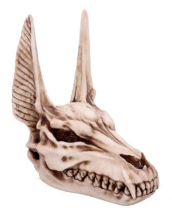 Anubis Totenschädel Figur 17cm -Cosly Verkaufsgeschäft anubis totenkopf figur anubis totenschaedel figur anubis skull figurine 51020 05