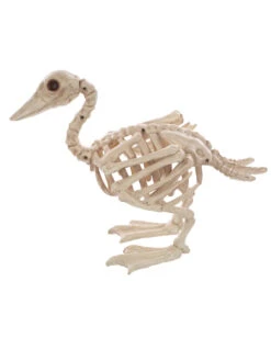 Skelett Baby Ente 19cm -Cosly Verkaufsgeschäft baby skelett ente skeleton baby duck halloween duck 52639 03