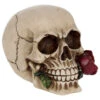 Beiger Totenschädel Mit Roter Rose 15cm -Cosly Verkaufsgeschäft beiger totenkopf mit roter rose beiger totenschaedel mit roter rose antic skull with red rose 53389 01