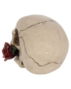 Beiger Totenschädel Mit Roter Rose 15cm 11 Beiger Totenschädel Mit Roter Rose 15cm -Cosly Verkaufsgeschäft beiger totenkopf mit roter rose beiger totenschaedel mit roter rose antic skull with red rose 53389 04