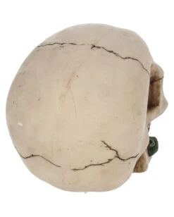 Beiger Totenschädel Mit Roter Rose 15cm 12 Beiger Totenschädel Mit Roter Rose 15cm -Cosly Verkaufsgeschäft beiger totenkopf mit roter rose beiger totenschaedel mit roter rose antic skull with red rose 53389 05