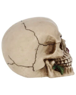Beiger Totenschädel Mit Roter Rose 15cm 13 Beiger Totenschädel Mit Roter Rose 15cm -Cosly Verkaufsgeschäft beiger totenkopf mit roter rose beiger totenschaedel mit roter rose antic skull with red rose 53389 06
