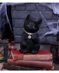 Freche Katze Zeigt Mittelfinger 16,5cm -Cosly Verkaufsgeschäft cattitude katze zeigt mittelfinger cattitude cat showing middle finger gothic deko geschenkartikel 53939 7