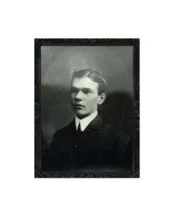 Effektbild Dämon -Cosly Verkaufsgeschäft daemonen hologramm bild daemonisches wackelbild halloween portrait 24871 2 1