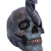 Schuppige Schlange In Totenkopf 19cm -Cosly Verkaufsgeschäft das schicksal der schlange gothic schaedel 19cm serpentine fate gothic snake skull gothic deko totenkopf 53993