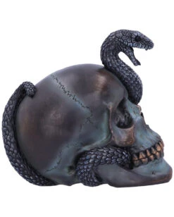 Schuppige Schlange In Totenkopf 19cm -Cosly Verkaufsgeschäft das schicksal der schlange gothic schaedel 19cm serpentine fate gothic snake skull gothic deko totenkopf 53993 4
