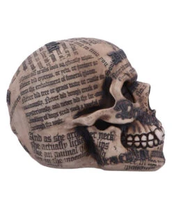 Dracula Totenkopf Mit Bram Stoker Zitaten -Cosly Verkaufsgeschäft dracula totenschaedel mit bram stoker zitaten vampir totenkopf gothic deko halloween tischdeko 50770 04