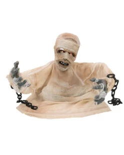 Mumie Halloween Animatronic 40cm -Cosly Verkaufsgeschäft groundbreaker mumie animatronic 40cm halbierte mumie halloween dekofigur animated mummy 36298 04