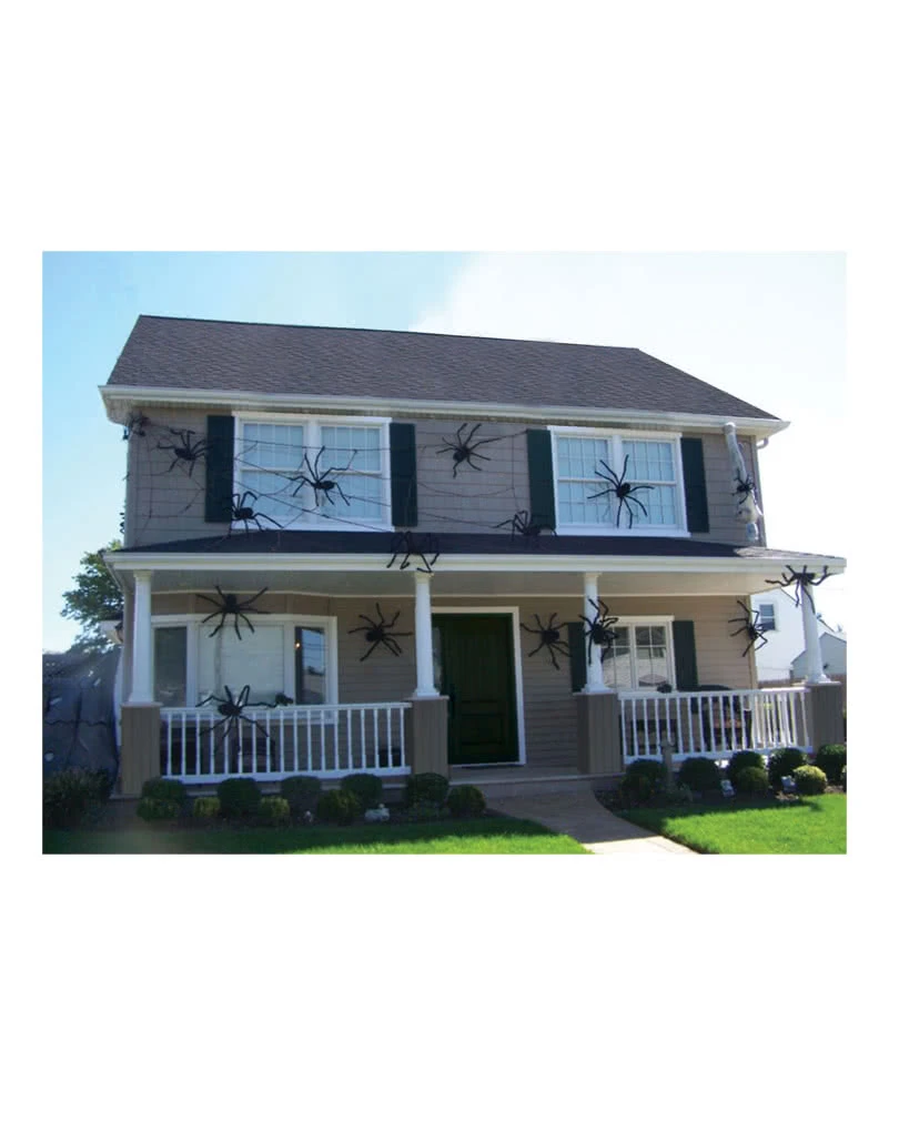 Schwarze Riesenspinne – Bild 2