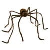 Haarige Riesenspinne Braun 228 Cm -Cosly Verkaufsgeschäft haarige riesen spinne haarige spinne halloween spinne horror spinne party spinne halloween dekorations hairy jumbo spider 17815