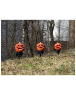 Spooky Halloween Kürbis Mit Erdspieß 3er-Set -Cosly Verkaufsgeschäft halloween kuerbis erdspiess 3er set halloween und horror aussendeko halloween pumpkin led decoration 53954 3