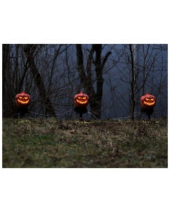 Spooky Halloween Kürbis Mit Erdspieß 3er-Set -Cosly Verkaufsgeschäft halloween kuerbis erdspiess 3er set halloween und horror aussendeko halloween pumpkin led decoration 53954 4
