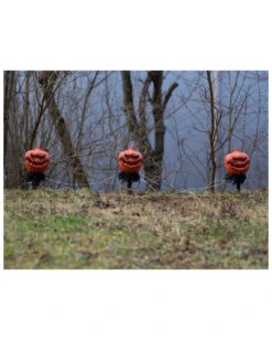 Spooky Halloween Kürbis Mit Erdspieß 3er-Set -Cosly Verkaufsgeschäft halloween kuerbis erdspiess 3er set halloween und horror aussendeko halloween pumpkin led decoration 53954 5