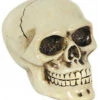 Schaltknauf Totenschädel -Cosly Verkaufsgeschäft horrorshop.com autoknauf totenkopf totenschaedel schaltknauf totenkopf sammlerfigur 27091