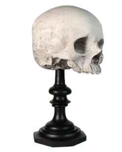 J. DOE Totenschädel Auf Sockel 20cm -Cosly Verkaufsgeschäft j doe totenkopf auf sockel j doe totenschaedel auf sockel j doe skull plinth gothic homware 54857 01