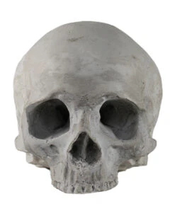 J. DOE Totenschädel 17cm -Cosly Verkaufsgeschäft j doe totenkopf j doe totenschaedel ghotic totenkopf gothic wohnaccessoire gothic homware 54856 03