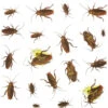 20er Pack Kakerlaken Aufkleber -Cosly Verkaufsgeschäft kakerlaken aufkleber 20 stueck halloween insekten und ungeziefer dekoration cockroaches stickers 35993