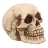 Kleiner Grinsender Totenkopf 12cm -Cosly Verkaufsgeschäft kleiner grinsender totenschaedel small joker skull totenkopf dekoration gothic deko 50730 01