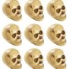 Mini Totenschädel Im Netz 1 Mini Totenschädel Im Netz -Cosly Verkaufsgeschäft mini totenkoepfe im netz kleine totenschaedel im netz mini skulls 21585 3
