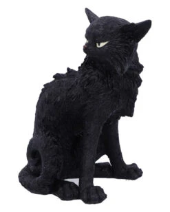 Salem Magierkatze 16,6cm -Cosly Verkaufsgeschäft salem hexenkatze 19cm salem witch cat 19 cm halloween tischdekoration schwarze katzenfigur 51042 02