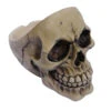Aschenbecher Totenschädel -Cosly Verkaufsgeschäft schaedel aschenbecher totenkopf dekoration skeleton ash tray 27476