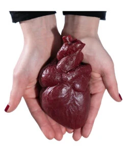 Realistisches Menschenherz Aus Gelatine