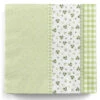 Einwegservietten Frühling Grün 20 St.