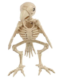 Papagei Skelett 19cm -Cosly Verkaufsgeschäft skelett papagei skeleton parrot halloween dekoration 52638 02