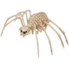 Tarantel Skelettfigur Spinne 20x35cm -Cosly Verkaufsgeschäft skelett tarantel spinne 100cm skeleton tarantula spider skelettfigur tier halloween 53356