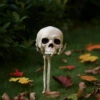 Skeletthand Mit Totenkopf Gartenstecker