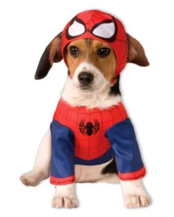 Spider-Man Hunde Verkleidung