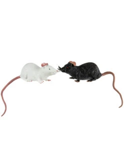 Gummi Ratte 23 Cm - Schwarz / Weiß -Cosly Verkaufsgeschäft stretch ratten 23cm schwarz weiss gummiratten halloweendeko gummimaus fuer halloween 29819