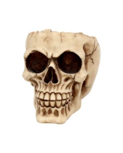 Realistische Totenschädel Schale Mit Offener Schädeldecke -Cosly Verkaufsgeschäft totenschaedel schale mit offener schaedeldecke realistic skull mug morbide gothic deko halloween deko totenschaedel 39289 3