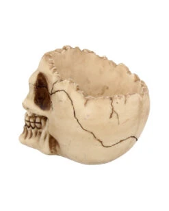 Realistische Totenschädel Schale Mit Offener Schädeldecke -Cosly Verkaufsgeschäft totenschaedel schale mit offener schaedeldecke realistic skull mug morbide gothic deko halloween deko totenschaedel 39289 5