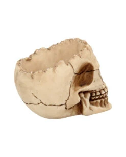 Realistische Totenschädel Schale Mit Offener Schädeldecke -Cosly Verkaufsgeschäft totenschaedel schale mit offener schaedeldecke realistic skull mug morbide gothic deko halloween deko totenschaedel 39289 6