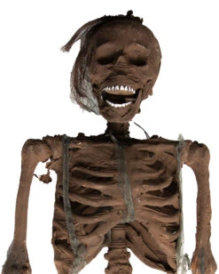 Verweste Torso Hänge Dekoration -Cosly Verkaufsgeschäft verwestes skelett haengetorso halloween deko skelett 37813