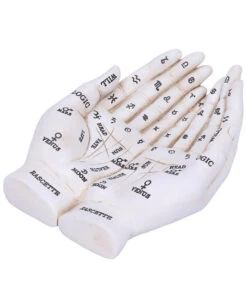 Weiße Chiromantie-Hände Teelichthalter -Cosly Verkaufsgeschäft weisse handlese haende kerzenhalter weisse chiromantie haende teelichthalter 51058 05